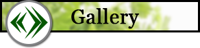 Gallery Button